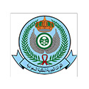 القوات الجوية